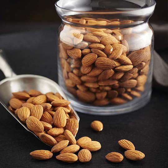 Diabetes and Almonds: Review and Reference